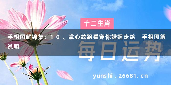 手相图解锦集:10、掌心纹路看穿你婚姻走给 手相图解说明